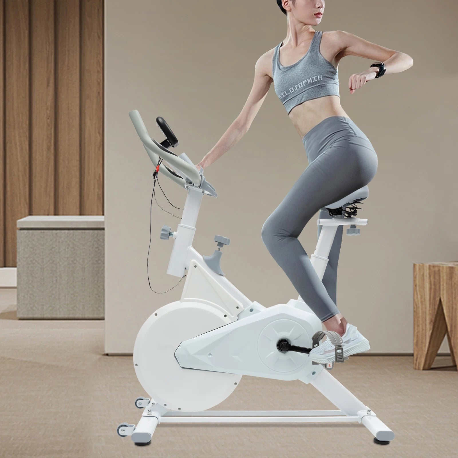 Indoor Cycling Exercise Bike