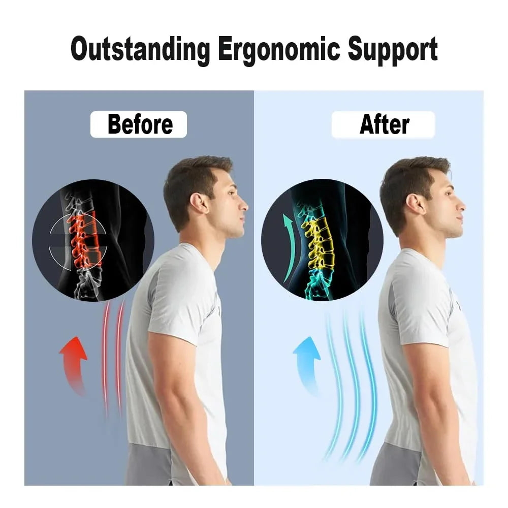 Lumbar Support Lifting Belt