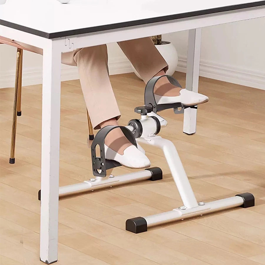 Indoor Exercise Pedal Bike